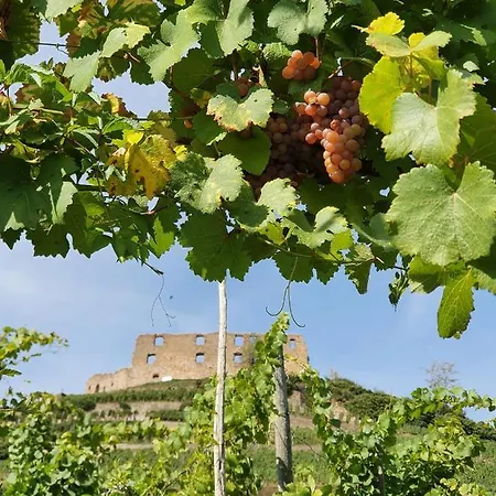 Am Musbach In Badenweiler-sehringen Badenweiler