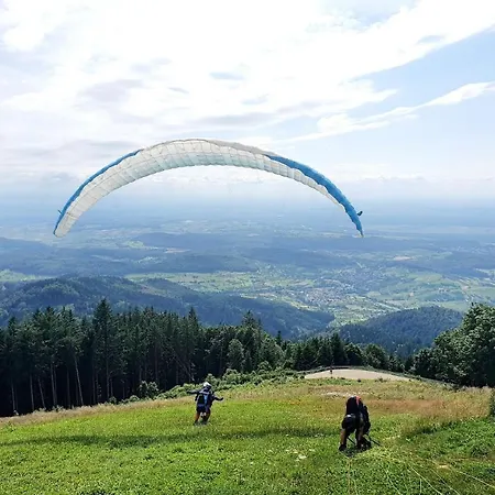 Am Musbach In Badenweiler-sehringen Badenweiler